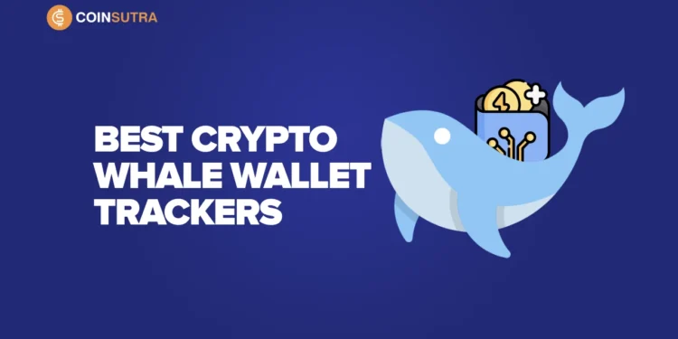 7 Best Crypto Whale Wallet Tracker & Watchers (2023)