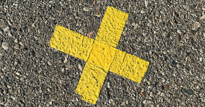 Elon Musk’s New Twitter Logo Unleashes XRP Community’s Euphoria