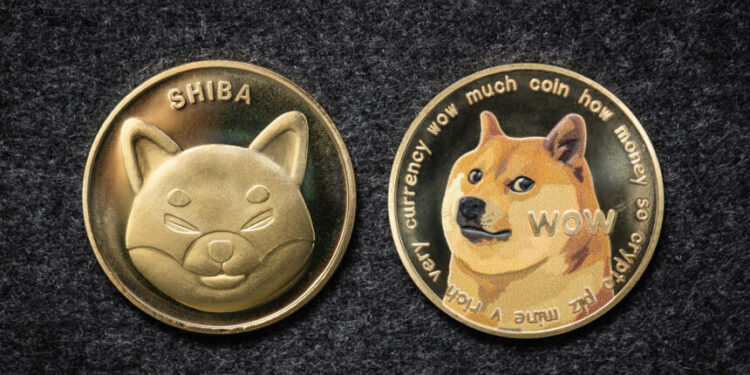 Dogecoin, Shiba Inu Whales Move Massive Amounts, Dumping Going On?
