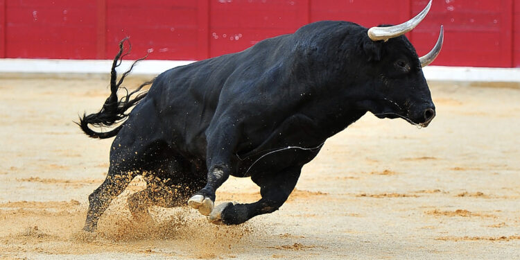 What’s Next For Bitcoin? Bulls Aren’t Running Out Of Steam Yet