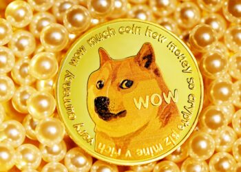Dogecoin Plunges 7% As Whales Make Large Moves