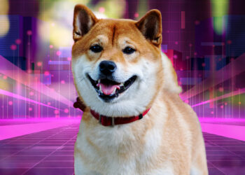 Shiba Inu metaverse details unveiled by official announcement