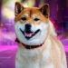 Shiba Inu metaverse details unveiled by official announcement