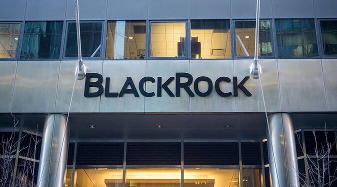 BlackRock May See Spot Bitcoin ETF Approved within 6 Months, Novogratz Believes