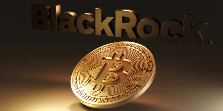 Here’s Why Arthur Hayes Is Not In Support Of A BlackRock Spot Bitcoin ETF