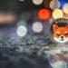 Shiba Inu Price Records Staggering 18% Spike in One Week: Possible Dead Cat Bounce?
