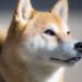 Shiba Inu DeFi Aspirations May Rattle DOGE’s Market As SHIB Turns To Digital IDs