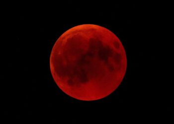 LUNC Sheds 13% Of Its Value