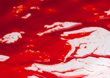 $1 Billion Erased In Liquidations As Bitcoin Dives To 2-Month Low