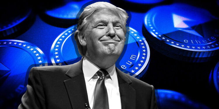 Is Trump’s $500k crypto wallet just his own NFT trading card collection?