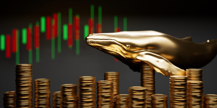 Ethereum Whale Avoids Market Crash, Do They Know Something You Don’t?