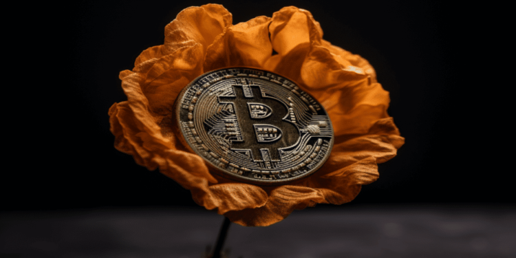 Bitcoin’s price fluctuations will continue into 2024, ChatGPT projects