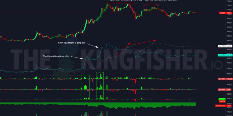 Why Is Bitcoin Price Up Today? Insights From Leading Analysts