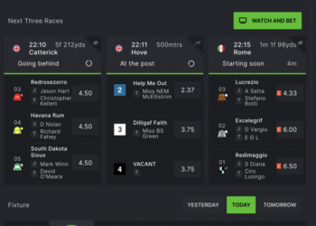 Access Them On The Website Now!