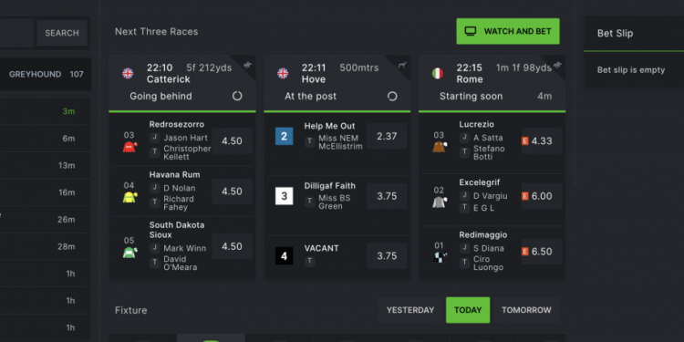 Access Them On The Website Now!