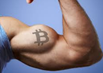 Bitcoin Dominance Returns Above 50% As Altcoins Encounter Resistance