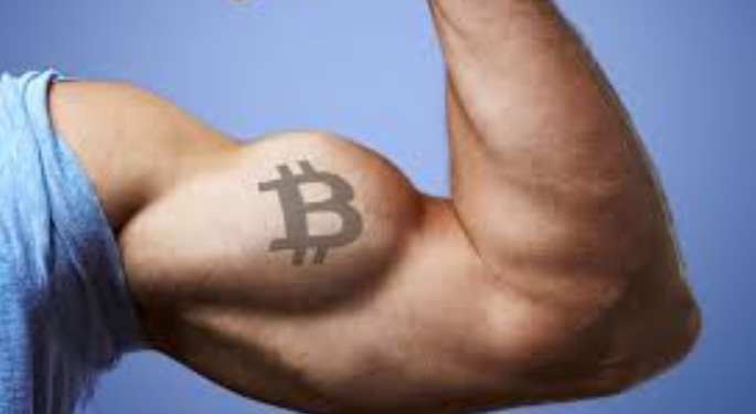 Bitcoin Dominance Returns Above 50% As Altcoins Encounter Resistance