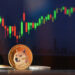 Dogecoin Slide Persists Despite This Elon Musk Bio Revelation