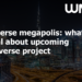 Metaverse megapolis: what’s special about upcoming Dubaiverse project