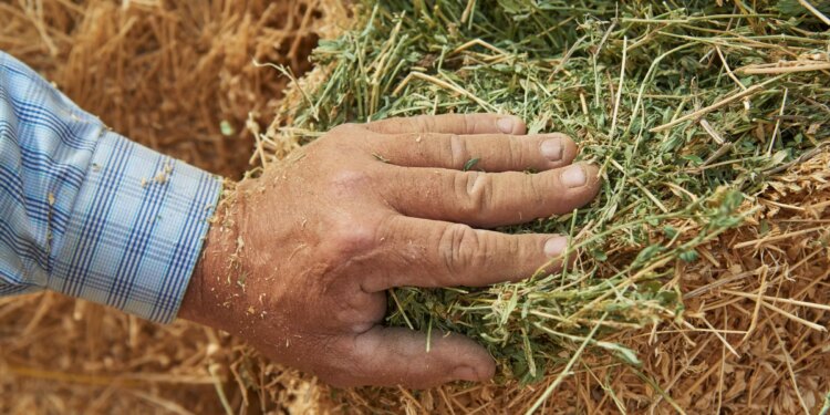 Empowering farmers across the digital divide in Malawi with OpenHarvest