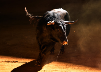 Experts Eye $87,000 In 2025