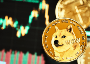 Dogecoin Metrics Signal Impending Breakout, How High Can The Price Go?