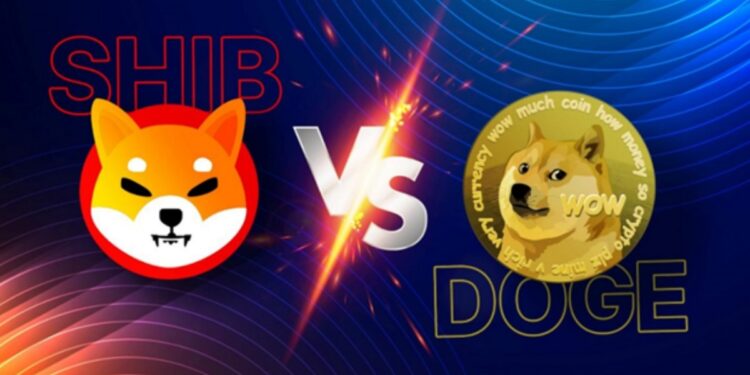 Which Meme Coin Is More Profitable For Holders?