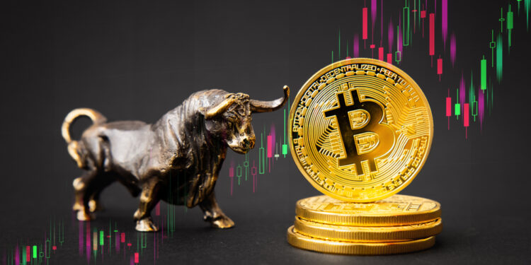 Bitcoin Bulls Are Back! Latest Signal Confirms Bullish Trend is Brewing