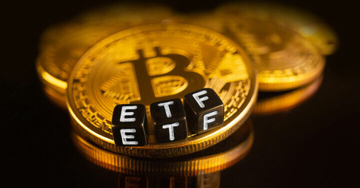Valkyrie CIO Expects Bitcoin ETF Approval This Month in Preparation for February Launch