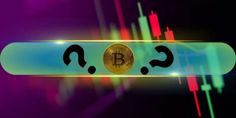 These Are This Week’s Top Performers as Bitcoin Price Defends $43K (Market Watch)