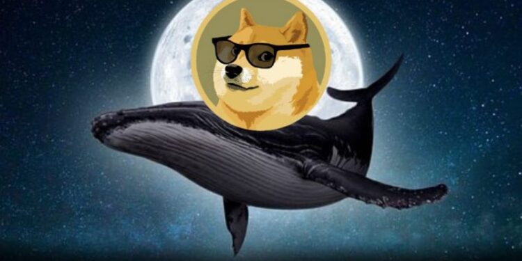 Dogecoin Whale Moves 71 Million DOGE To Robinhood, What Does This Mean For Price?