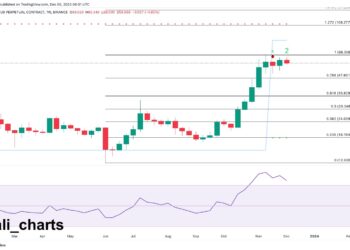 Analyst Says Solana At Risk Of Pullback: Here Is The Target