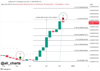 BONK Soars 18%, But Analyst Warns Of Impending Correction