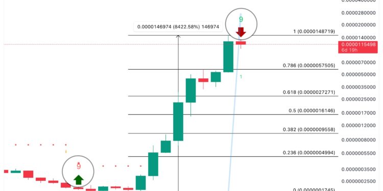 BONK Soars 18%, But Analyst Warns Of Impending Correction