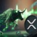 Analyst Places XRP As The Top Coin For The 2024-2025 Bull Run
