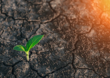 Lugano City Breaks New Ground, Accepts Bitcoin And USDT For Taxes