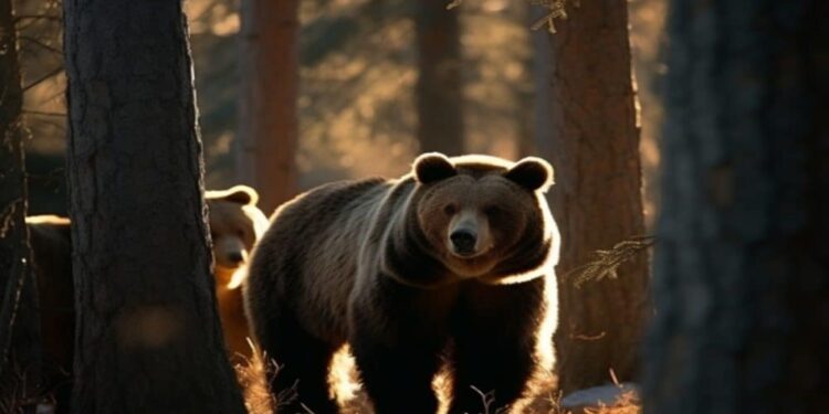 Are Ethereum bears emerging from the shadows?