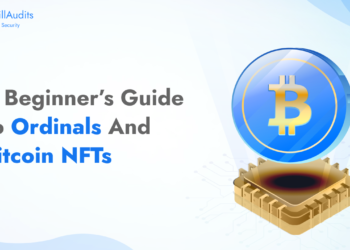 A Beginner’s Guide To Ordinals And Bitcoin NFTs