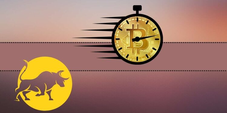 Interesting Bitcoin Price Prediction as BTC Soars Over $43K: Bloomberg Analysts