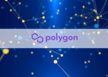 Polygon CDK Expansion Takes Precedence as Edge Contributions Cease