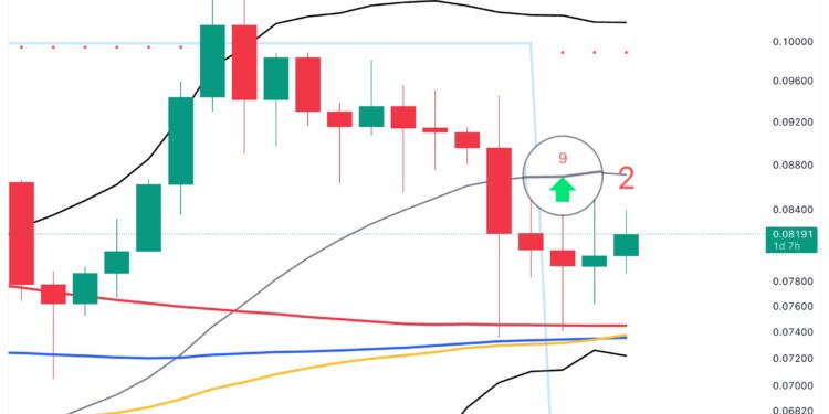 Dogecoin To See 24% Rally To $0.100 If This Holds: Analyst