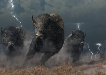 Bitcoin Trend Strength Exhibits Striking Similarities With Last Bull Run