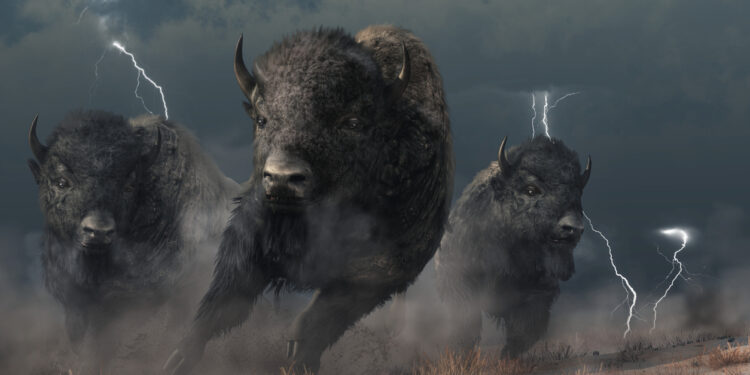 Bitcoin Trend Strength Exhibits Striking Similarities With Last Bull Run