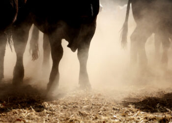 Ethereum Price Could Start 2024 With A Strong Increase If It Holds This Support