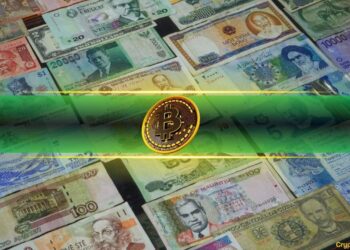 Bitcoin Registered New ATHs Against These Fiat Currencies, When the USD?