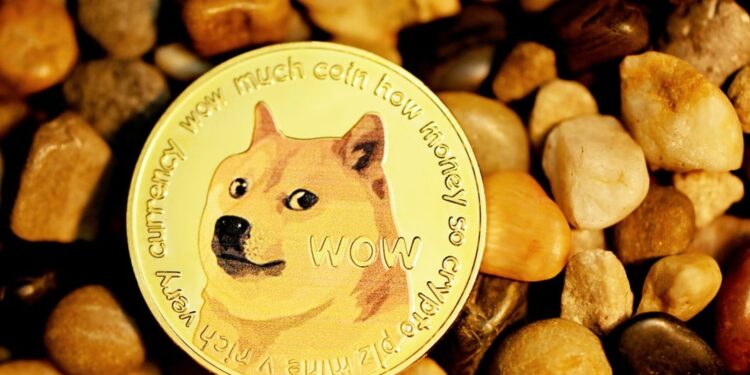 Dogecoin Rallies 50% To Beat Out Avalanche, BONK Overtakes PEPE