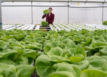 Examples of sustainability: How new efforts are shaping the environmental future