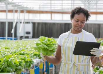 The path to embedded sustainability