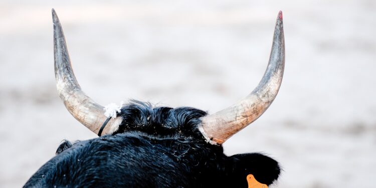 Ethereum Bulls Get Aggressive As Traders Set Sights on $4,000