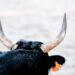 Ethereum Bulls Get Aggressive As Traders Set Sights on $4,000